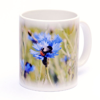 Plus de détails sur MUG BLEUET