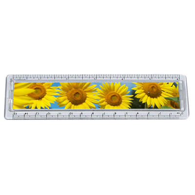 Plus de détails sur REGLE 15 CM TOURNESOL